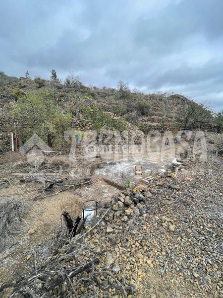 Foto 42f11dfa-8d87-45cb-ae22-fc0e6d529334. Finca rústica a Chío Guía de Isora
