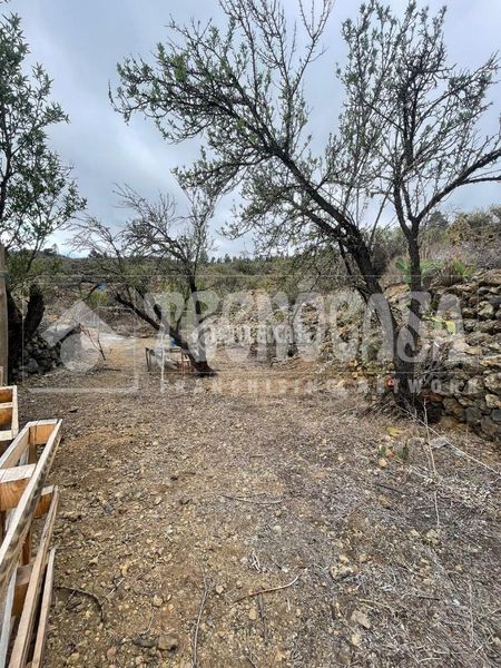 Foto 4d5f9318-7b80-494f-8276-1f154bdbb69f. Finca rústica a Chío Guía de Isora