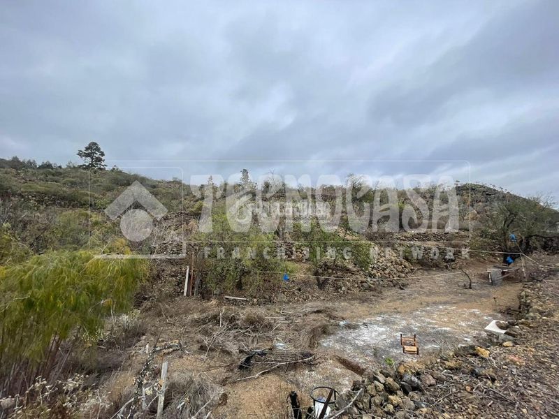Foto a15f4c85-3ad5-44d0-b0ff-db878ba86957. Finca rústica a Chío Guía de Isora