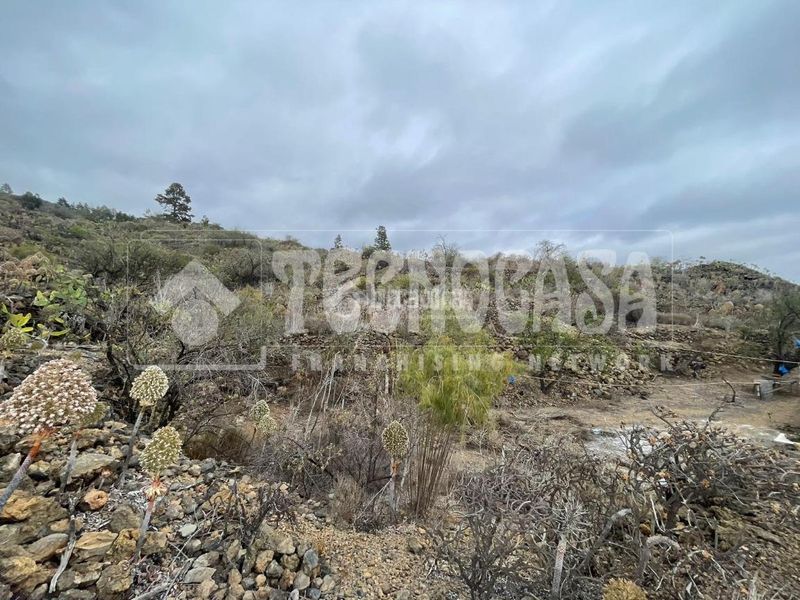 Foto b9a7f5ce-6e34-4774-9ab3-f7f8fca32e32. Finca rústica a Chío Guía de Isora