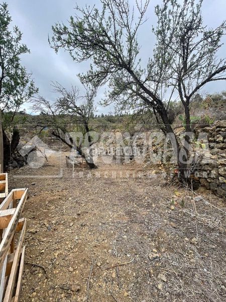 Foto c583d333-6b16-4b81-ad80-e3799f9982b1. Finca rústica a Chío Guía de Isora