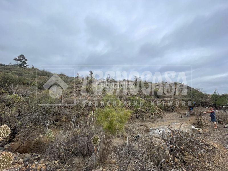 Foto fafbdcc8-f3ed-4bfe-8d1b-3292e1ff895c. Finca rústica a Chío Guía de Isora