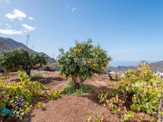 Masia a Santiago del Teide Pueblo. Casa rural en venta en santiago del teide