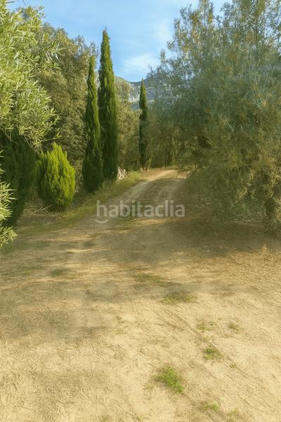 Foto 0570232e-be09-4419-9bbf-cc52a93e8f39. Maison dans Vall de Gallinera (La)