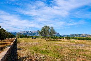 Terreno residenziale  Cami de sanet. Terreno rústico en venta en benidoleig alicante ? 1.445 m