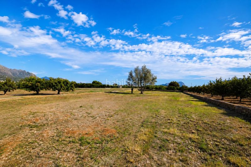 Foto 646dc201-8ce9-4245-827d-baabcce8f563. Terreny residencial a Benidoleig
