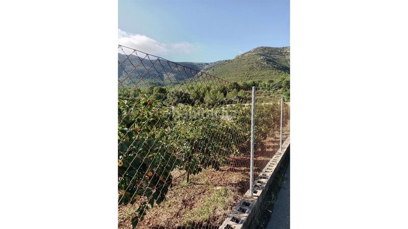 Foto 548133f9-3f82-4580-b6bc-6cd6bfdff2f1. Finca rústica a Parcent