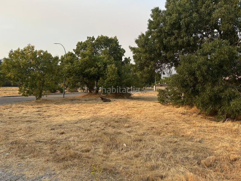 Foto b642d8c8-485a-496a-a8a8-73869114cd18. Terreny residencial a Becerril de la Sierra