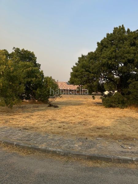 Foto ee62b077-532b-4c7c-a789-d0350581dfa4. Terreny residencial a Becerril de la Sierra