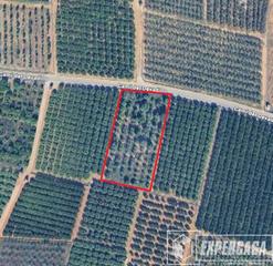 Residential Plot in Picassent