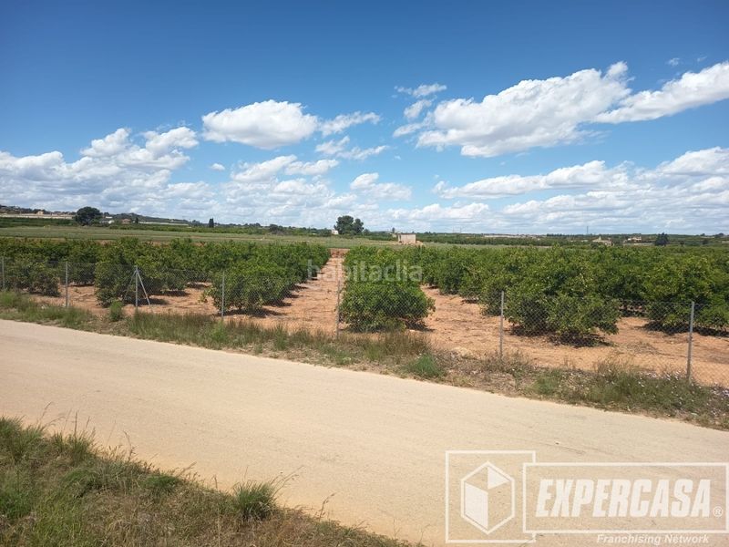 Foto 9c1bb3b1-8023-4f59-a7d1-f5a70d3a80cb. Terreny residencial a Picassent