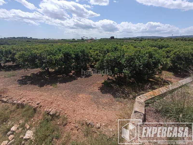 Foto d9a61e86-339e-4115-9307-28fdd2cadeeb. Terreny residencial a Picassent