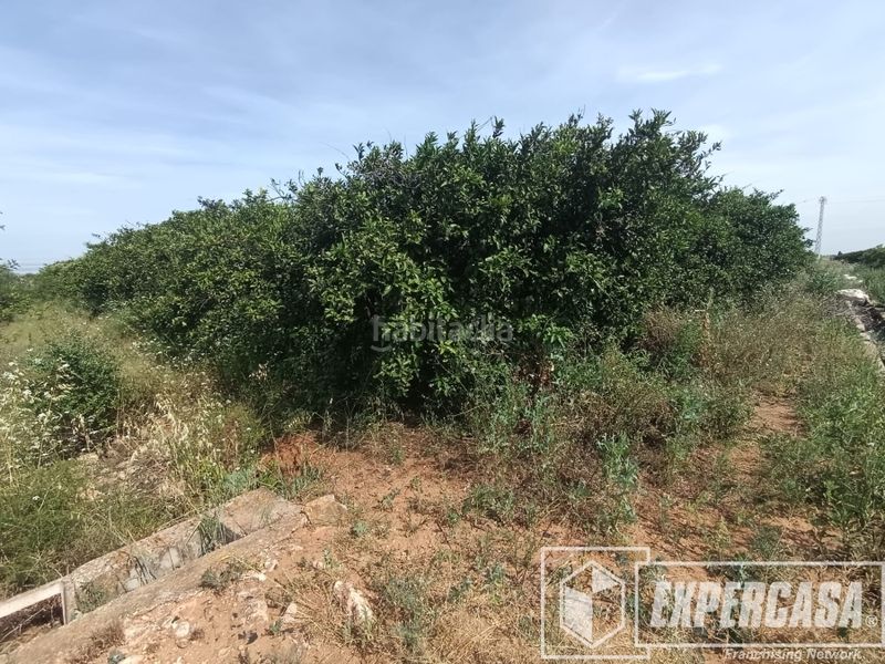 Foto 11e1f99c-d5c6-4d30-b275-38a7c21ad96a. Terreny residencial a Picassent