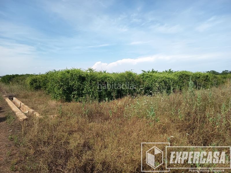 Foto d8e7a491-9062-43fa-b5e0-ea744db9a24f. Terreny residencial a Picassent
