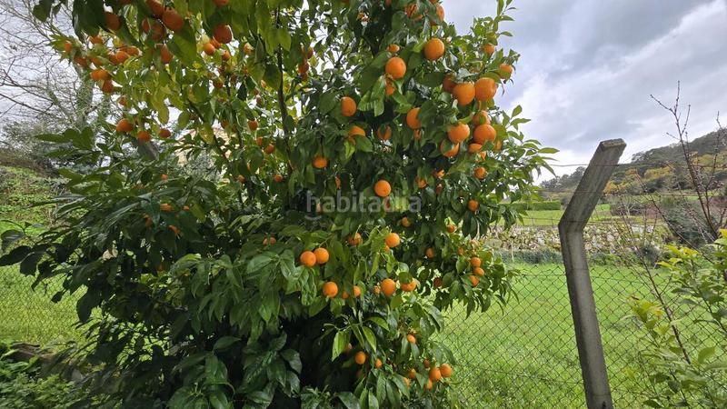 Foto 2c114163-ecc8-4bee-a3bc-4e2acd310579. Xalet amb calefacció aparcament piscina a Vistahermosa Ourense