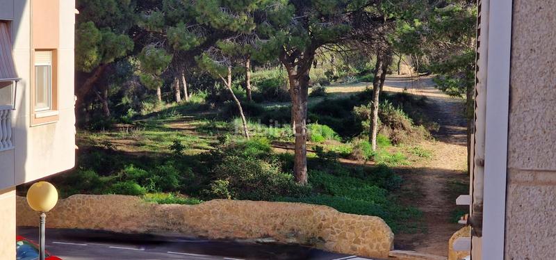 Foto 310d5fec-421a-4187-91fc-d469d7991b41. Piccolo appartamento in Pueblo Guardamar del Segura