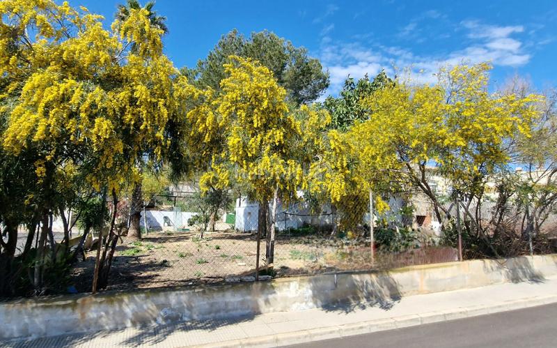 Foto d6d54168-67bd-403f-a547-3df668502f87. Masía casa de campo en venta en montemar, 2 dormitorios. en Algorfa