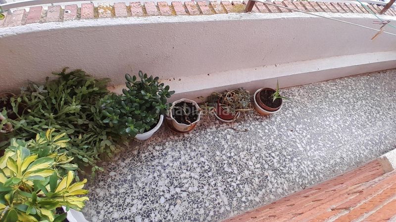 Foto 79aa5c45-c7d7-4993-94d9-9698bc1729a0. Pis a Yecla