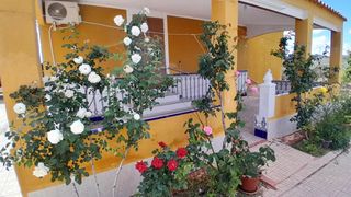 Xalet a Yecla. Chalet con piscina en yecla