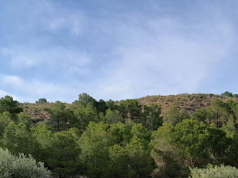 Foto 97aa9df0-9296-47cf-aedd-c9d532c485d1. Xalet amb aparcament a Yecla