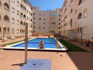 Appartement à Avenida Habaneras - Curva de Palangre. Apartamento céntrico con piscina en torrevieja  tu nuevo hogar j
