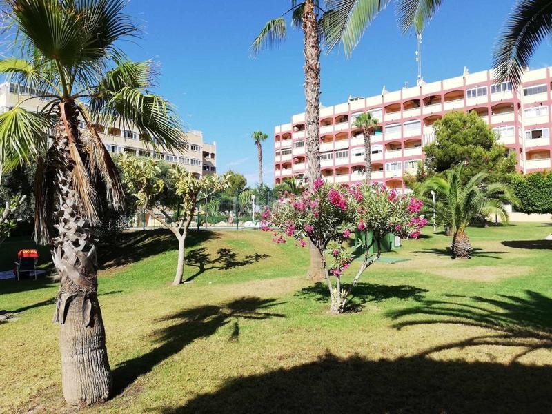 Foto 244f644b-c406-4292-8519-cbfe7a9eeeac. Apartament amb aparcament piscina a Torreblanca Torrevieja