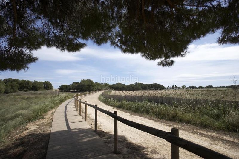 Foto d9e727b7-8e2b-48a6-9340-f605f254ccbb. Xalet amb aparcament piscina a Parque Acuático - Sector 25 Torrevieja