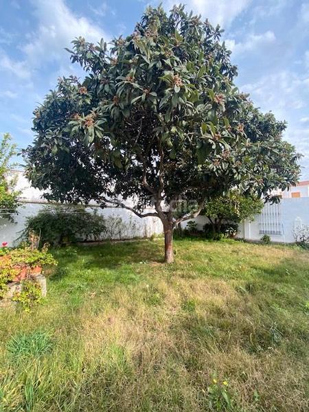 Foto 1ad2b541-1822-4c32-b2ed-0f5fdb8247b3. Mas dans calle badajoz 80 dans Barcarrota