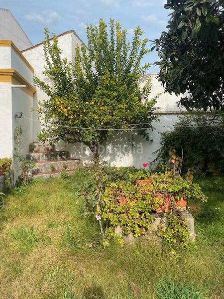 Foto 7e2ad953-676b-4933-b002-ab50aa55e2b7. Mas dans calle badajoz 80 dans Barcarrota