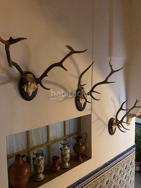 Foto d4c2cb7b-f952-487c-bebb-bbf01c350583. Mas dans calle badajoz 80 dans Barcarrota