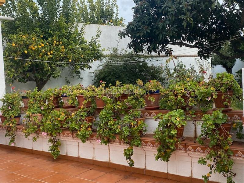 Foto de433462-ea99-4364-a6de-d74a1a6fdb80. Mas dans calle badajoz 80 dans Barcarrota