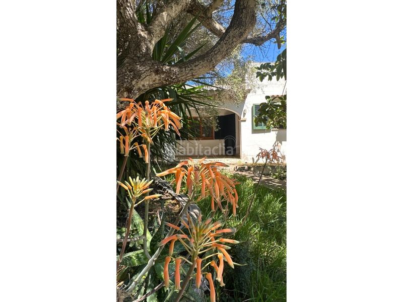 Foto 77e448fd-3633-4d65-8902-2092a8e0ca83. Masia amb aparcament a Cala d´En Bosch-Serpentona Ciutadella de Menorca