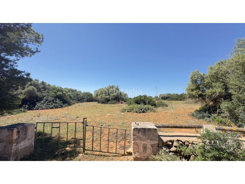 Foto 7c40d85b-3802-4054-8ba1-1879d6c367c0. Masia amb aparcament a Cala d´En Bosch-Serpentona Ciutadella de Menorca