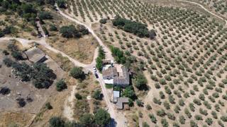 Masia a Loja. Finca rústica de 125ha con dos cortijos históricos y explotación