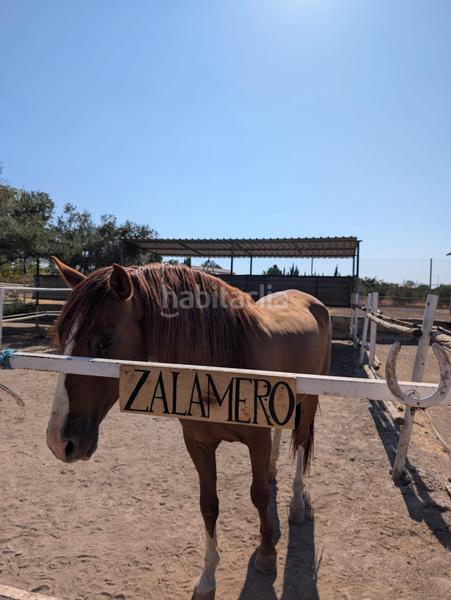 Foto 51b5589a-c9ca-4c71-ae0a-172855efa134. Masía centro hípico reformado en granada inversion asegurada en Zubia (La)
