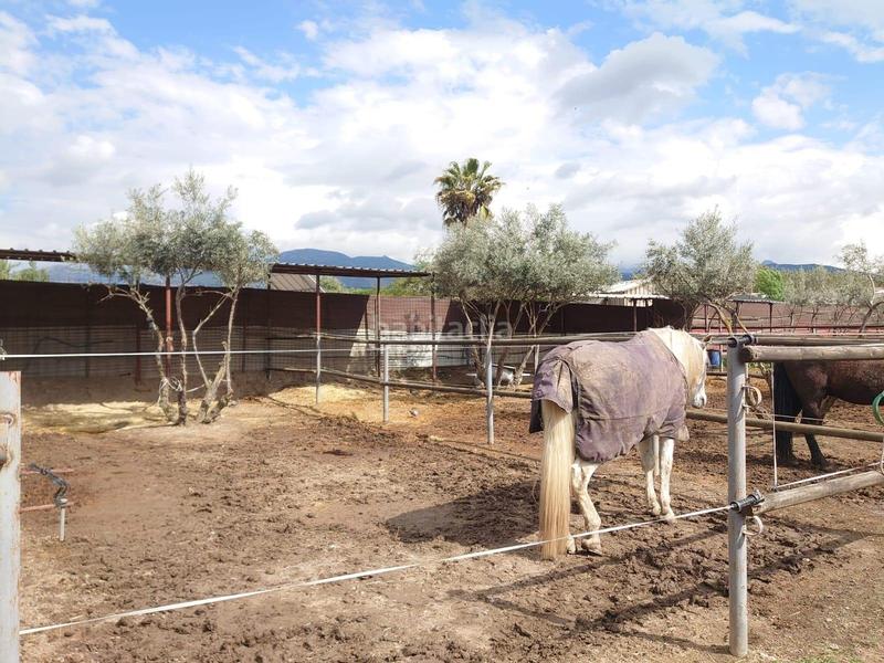 Foto 7a53751f-5250-427c-b8b6-9d7670179b81. Masía centro hípico reformado en granada inversion asegurada en Zubia (La)