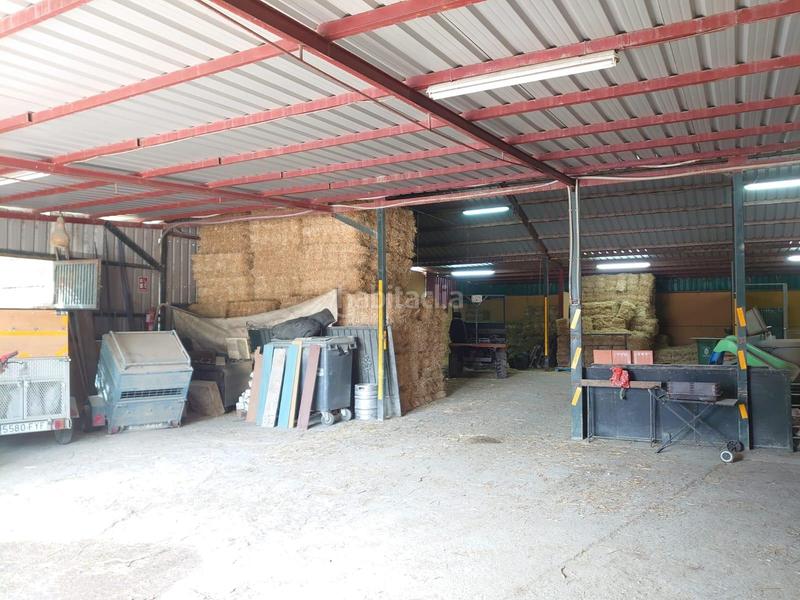 Foto c81419b4-4ffb-453a-875e-4e40f0efbee2. Masía centro hípico reformado en granada inversion asegurada en Zubia (La)