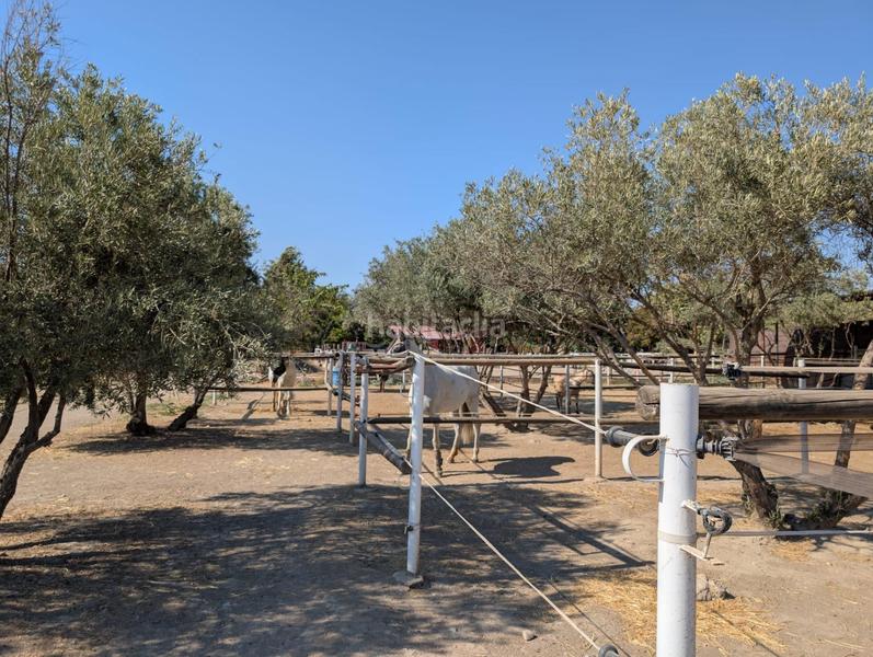 Foto d11354fe-93ff-43ec-aef7-d70e0f401506. Masía centro hípico reformado en granada inversion asegurada en Zubia (La)
