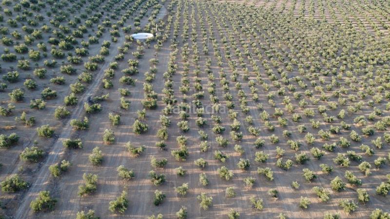 Foto 11c5fcfb-6d47-4682-92f2-5fda1598f1fb. Landgut in Renfe - Bulevar 1ª y 2ª Fase Jaén