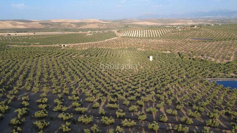 Foto 1a7026a8-5b26-4686-bc95-9c13210ecb11. Landgut in Renfe - Bulevar 1ª y 2ª Fase Jaén
