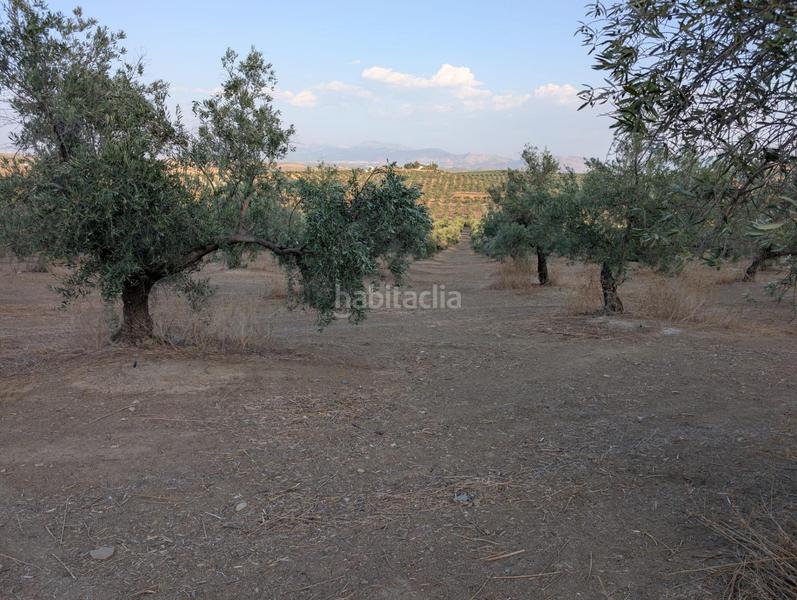Foto 28177687-1b6b-4988-b7eb-001336cf5e14. Landgut in Renfe - Bulevar 1ª y 2ª Fase Jaén