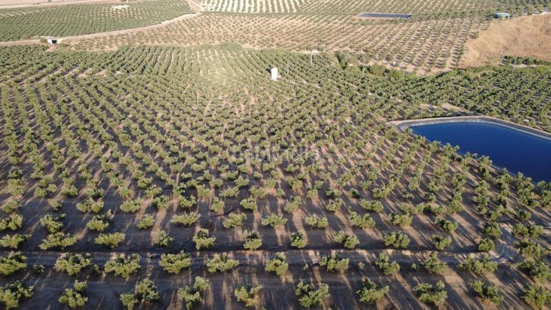 Foto 74970000-a903-4498-9cfd-b6e11ea59dcc. Landgut in Renfe - Bulevar 1ª y 2ª Fase Jaén