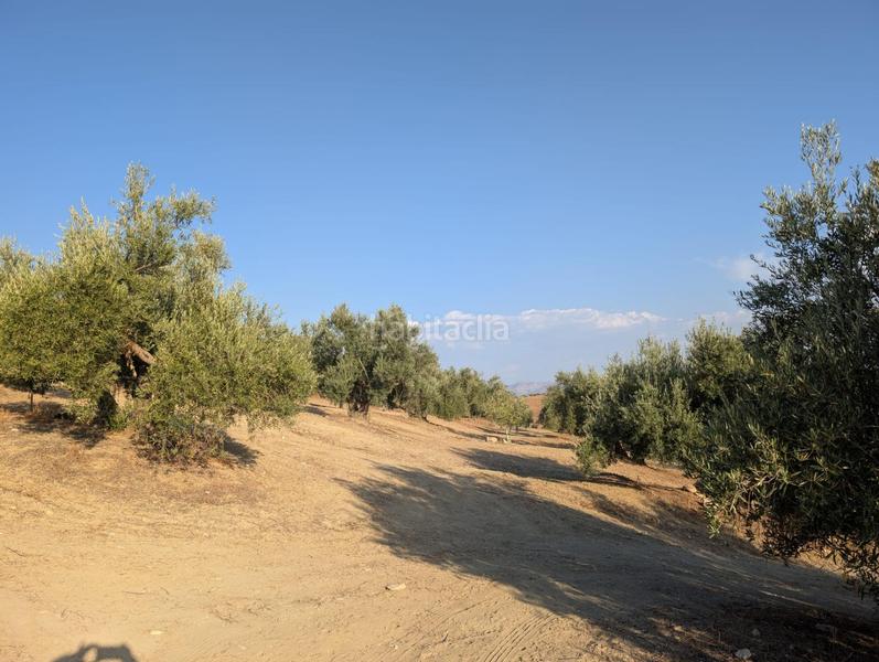 Foto 93bfbfef-bfb9-4b68-9aa1-ed23bc6954f9. Landgut in Renfe - Bulevar 1ª y 2ª Fase Jaén