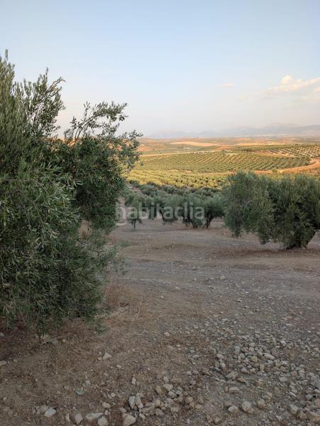 Foto aeee2f33-af03-4277-a5a2-654d92cbf65b. Landgut in Renfe - Bulevar 1ª y 2ª Fase Jaén