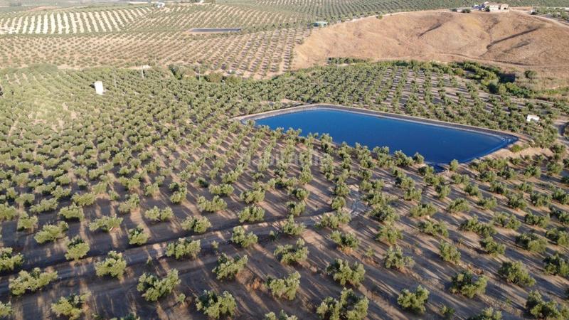 Foto b2cf895f-ac4a-423d-8e06-75b21fccc94d. Landgut in Renfe - Bulevar 1ª y 2ª Fase Jaén