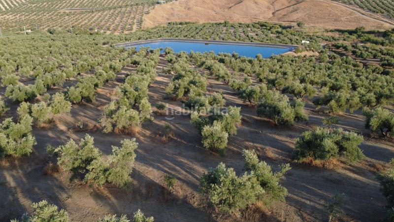 Foto ca1697db-3cf0-486c-86ff-fa2ef94bb004. Landgut in Renfe - Bulevar 1ª y 2ª Fase Jaén