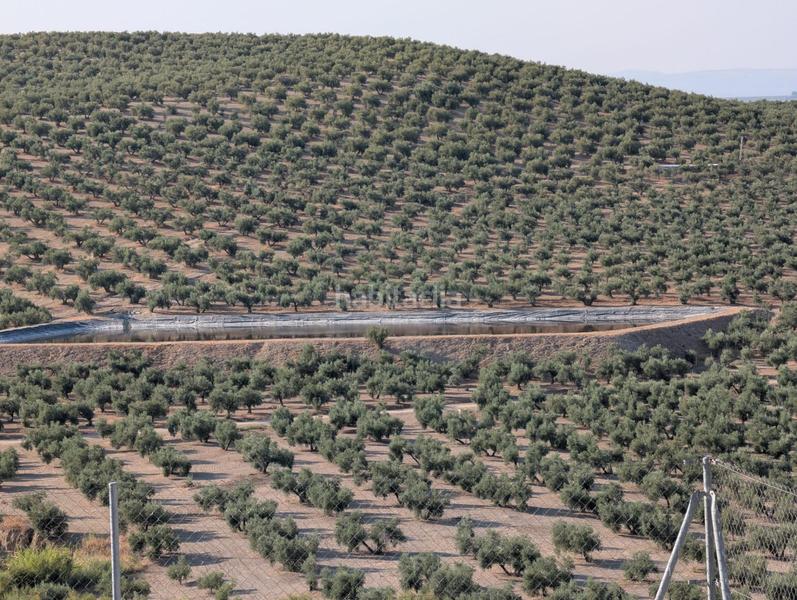 Foto d1e257fe-eacc-4eea-8eb6-df8d706e1893. Landgut in Renfe - Bulevar 1ª y 2ª Fase Jaén