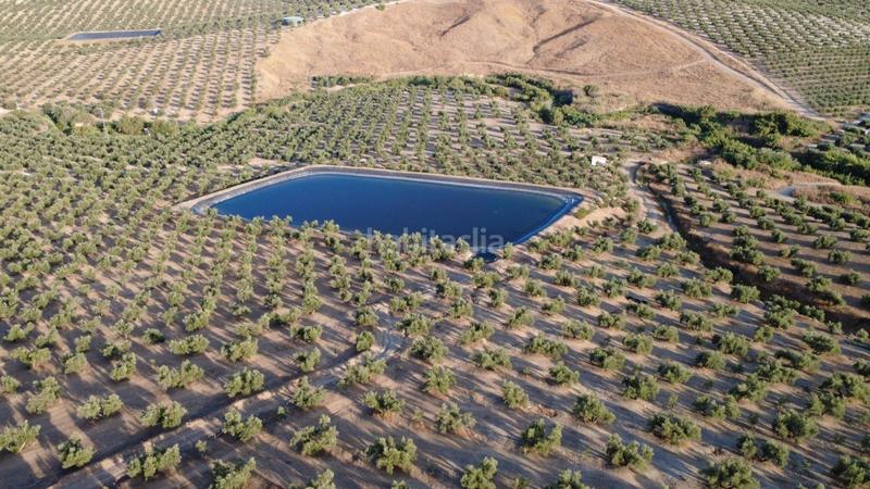 Foto f95339d8-4841-4982-a061-425d3cf923f3. Landgut in Renfe - Bulevar 1ª y 2ª Fase Jaén