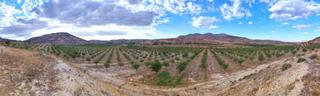 Fondo rustico in Huélago. Finca la casilla  fonelas granada