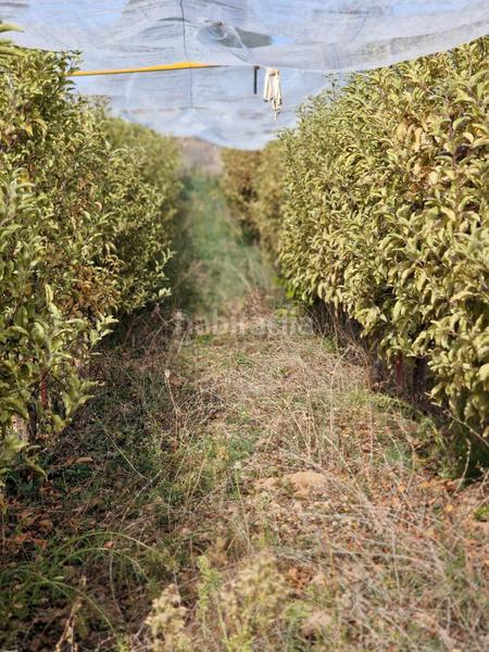 Foto 0395f79f-5353-4f5a-b339-3813ad8f32d3. Mas dans Cogollos de la Vega